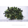 Dried Collard,Kale,Borecole,Feed cabbage,Brassica oleracea,Ganlan,Kale leaves,Yu yi gan lan,Ganlan